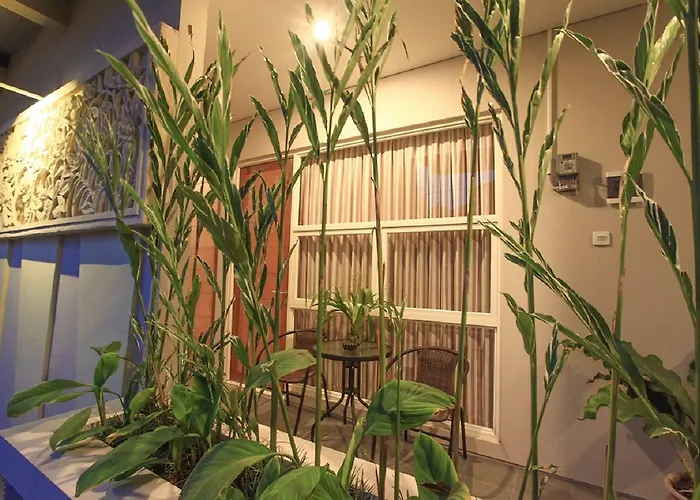 Bali True Living 2* Denpasar (Bali)